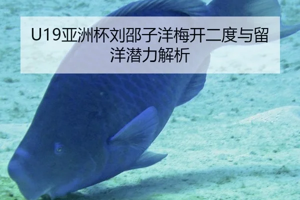 U19亚洲杯刘邵子洋梅开二度与留洋潜力解析