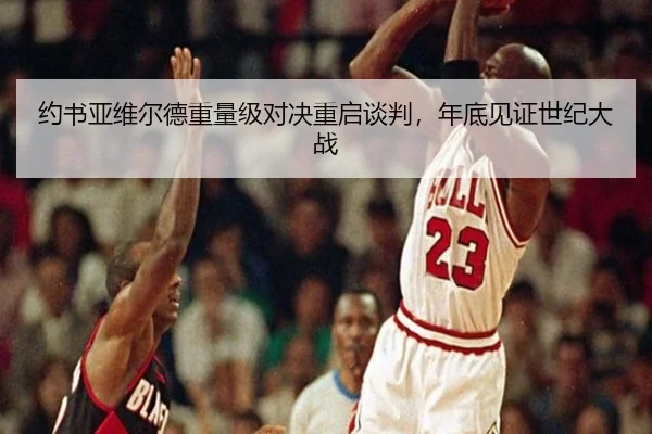 约书亚维尔德重量级对决重启谈判，年底见证世纪大战