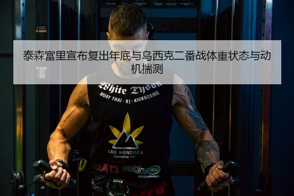 泰森富里宣布复出年底与乌西克二番战体重状态与动机揣测