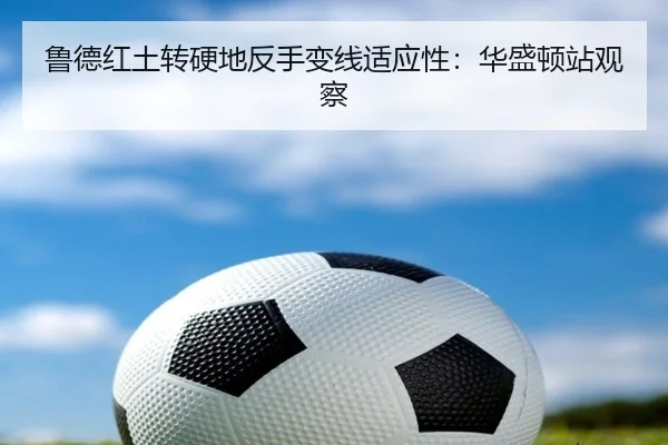 鲁德红土转硬地反手变线适应性：华盛顿站观察